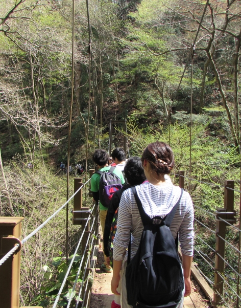 週末登山部