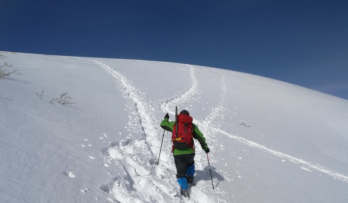 週末登山部